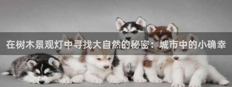 天顺娱乐v信345177信誉好