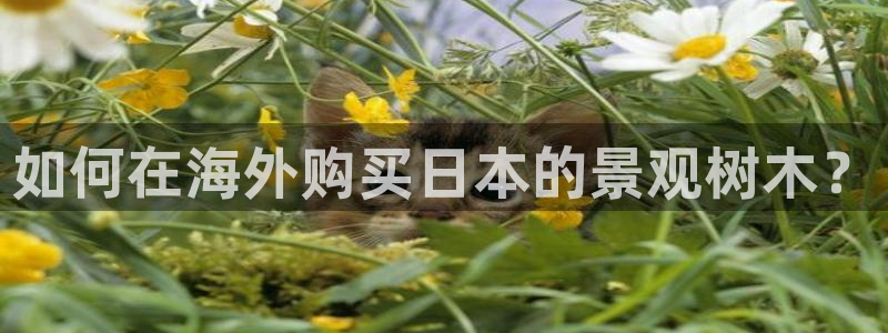 天顺娱乐惫943994