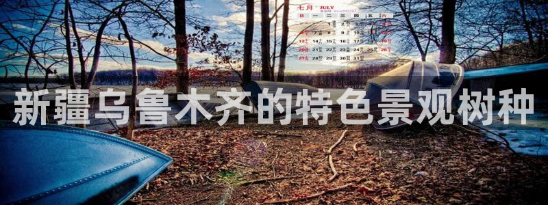 天顺娱乐负责人弓周到p29999：新疆乌鲁木齐的特色景观树种