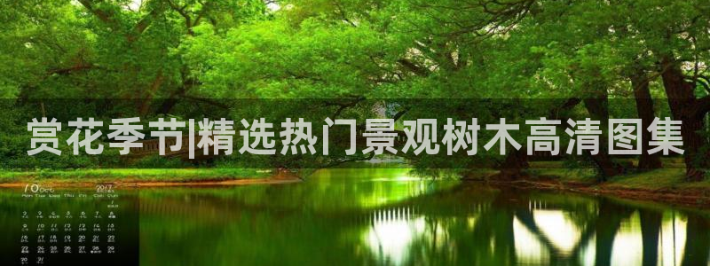 跟天顺娱乐一样的平台