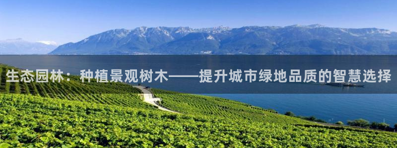 天顺娱乐主管年收入