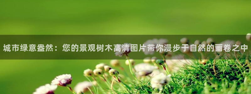 天顺娱乐漆勉p官29999