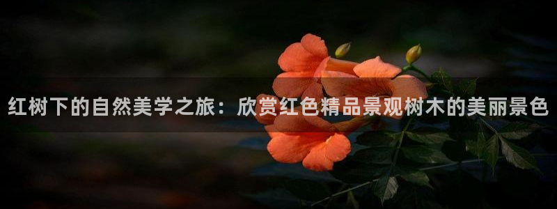 天顺娱乐05b判官333OO