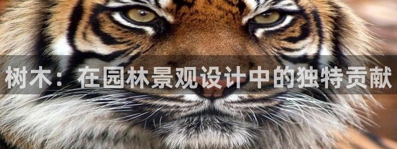 天顺娱乐联系q徽22212