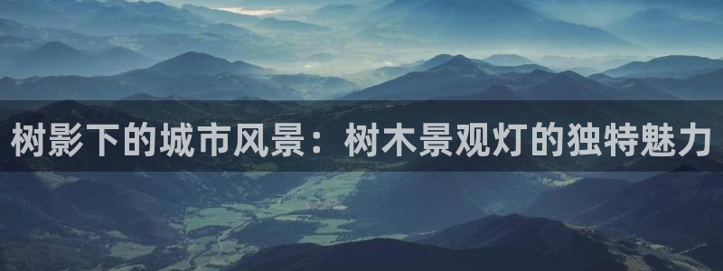 天顺餐饮娱乐