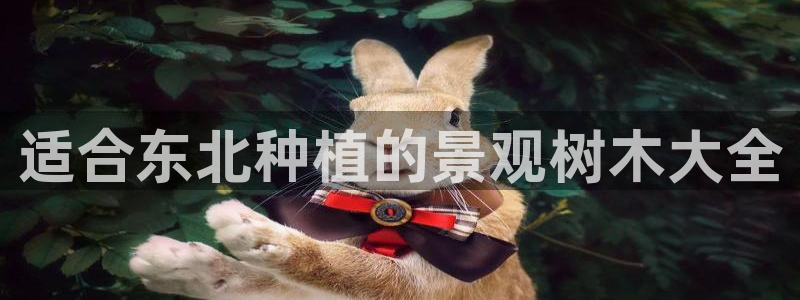 天顺娱乐腾刑秦奋83334j：适合东北种植的景观树木大全