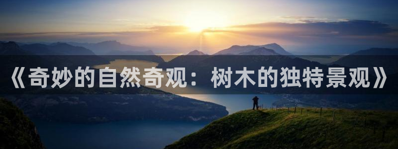 天顺娱乐绿苍70648：《奇妙的自然奇观：树木的独特景观》