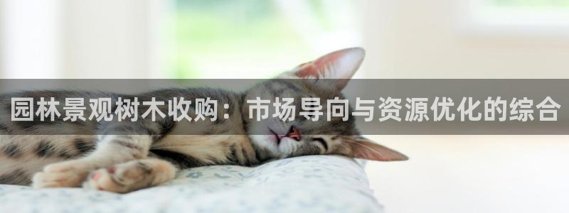 天顺娱乐球v33300
