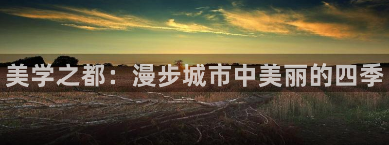 长沙天顺娱乐怎么样啊：美学之都：漫步城市中美丽的四季