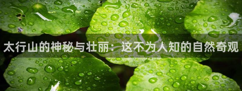 天顺娱乐主管年薪多少