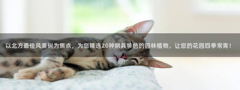 天顺娱乐盘78778卧