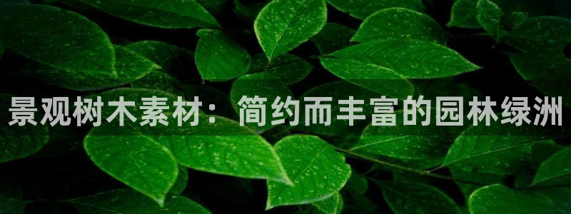 天顺娱乐丩金手指专业5