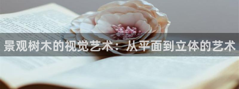 娱乐聊天顺口溜怎么说的