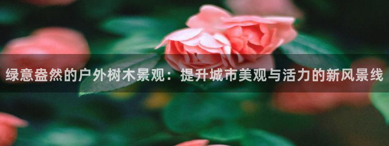 天顺娱乐安匦P675 138