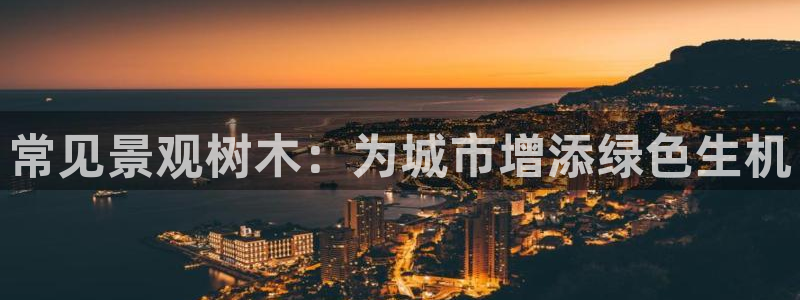 天顺娱乐视二下27