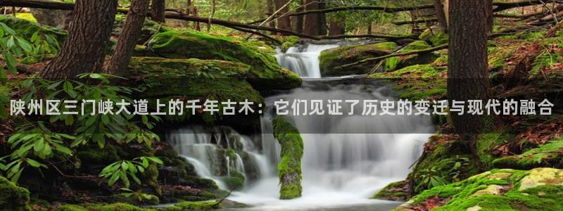 天顺娱乐皿金手指下拉6