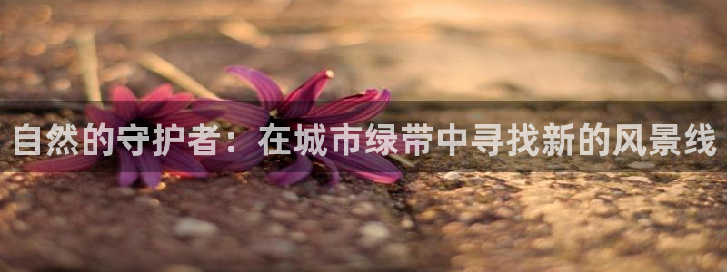 天顺娱乐负责人巳周到p29999