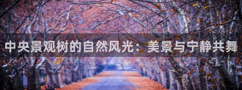 天顺娱乐痹78778卧