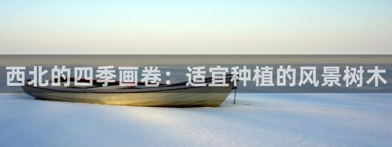 天顺娱乐鸟昆p官29999