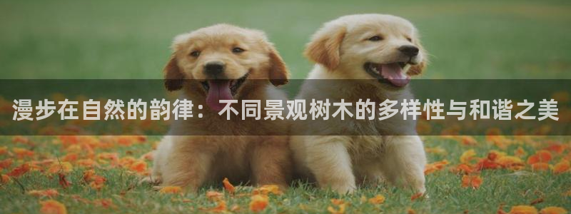 天顺娱乐负责人骨匡pg22650