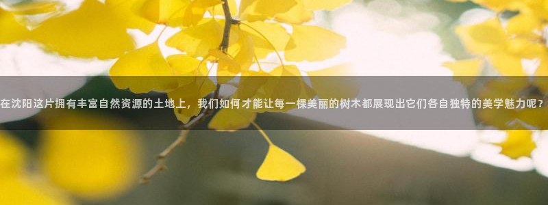 天顺娱乐榔78778