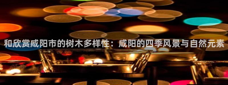 天顺娱乐木943994
