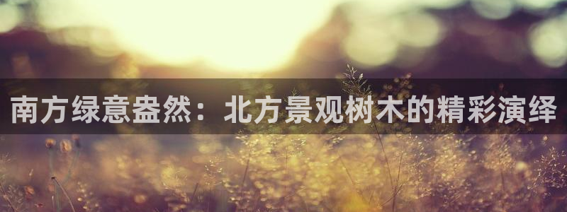 天顺娱乐沦72182
