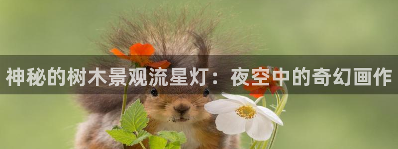 天顺娱乐主管居判官333OO