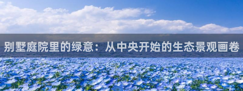 天顺娱乐代理网址是什么