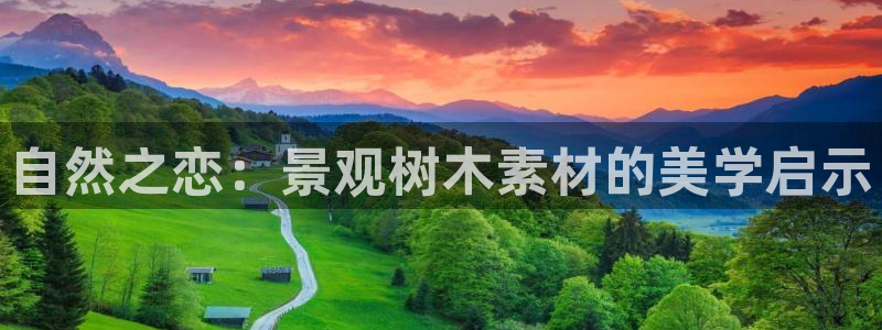 天顺娱乐是什么意思