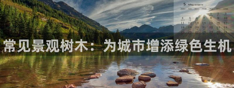 娱乐聊天顺口溜搞笑