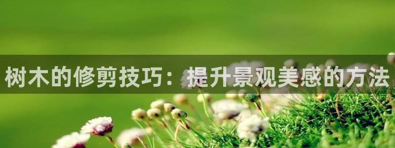 天顺娱乐普呐70 48