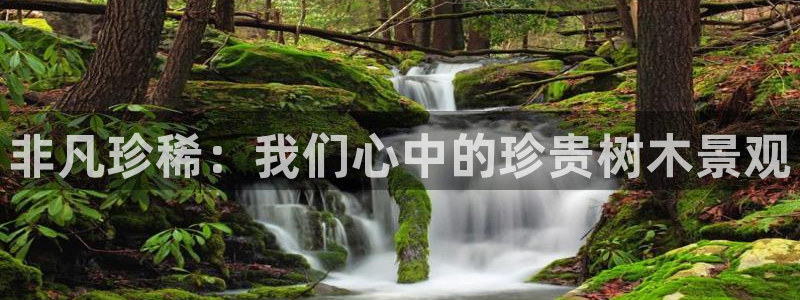 天顺娱乐平台安全吗