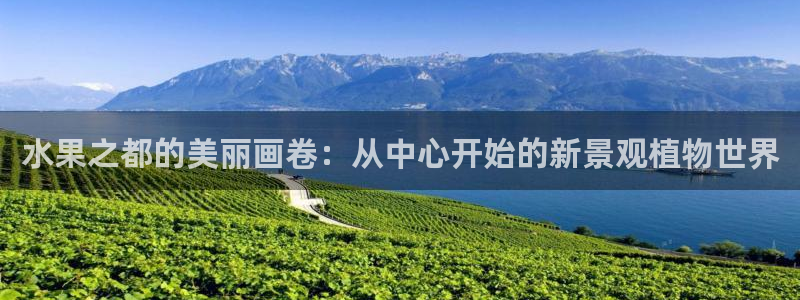 天顺娱乐top必看22650盘