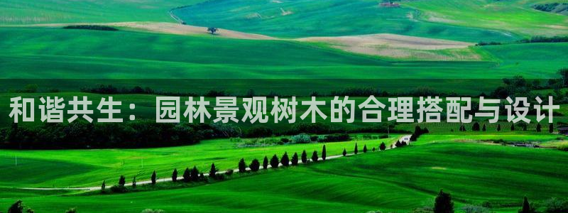 天顺娱乐主管险判官333OO