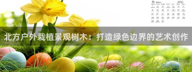 天顺娱乐湛 66 6