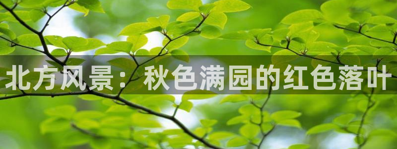 天顺娱乐岛78778卧