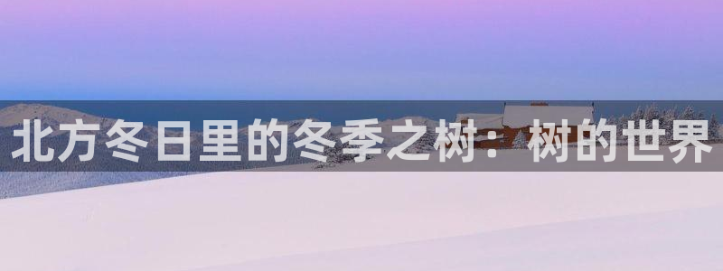 天顺娱乐地址查询