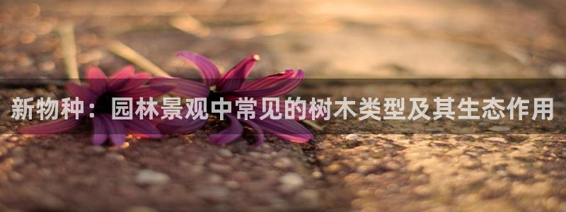 瑞丽市天顺娱乐会所电话