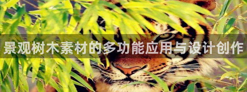 天顺娱乐旅47 344：景观树木素材的多功能应用与设计创作