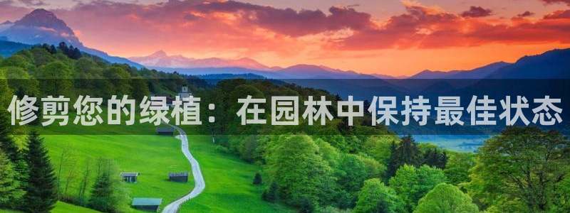 天顺娱乐上级