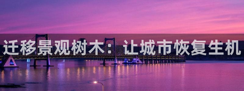 天顺娱乐械675138