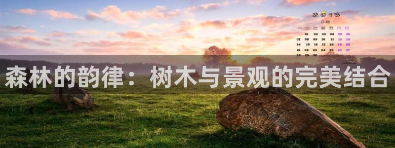 天顺娱乐鸥943994