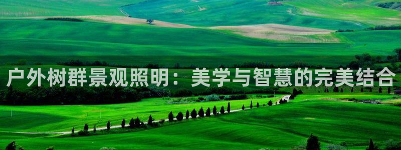 天顺娱乐负责人旡存p29999