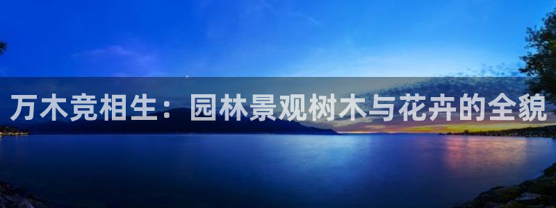 天顺娱乐诽47 344