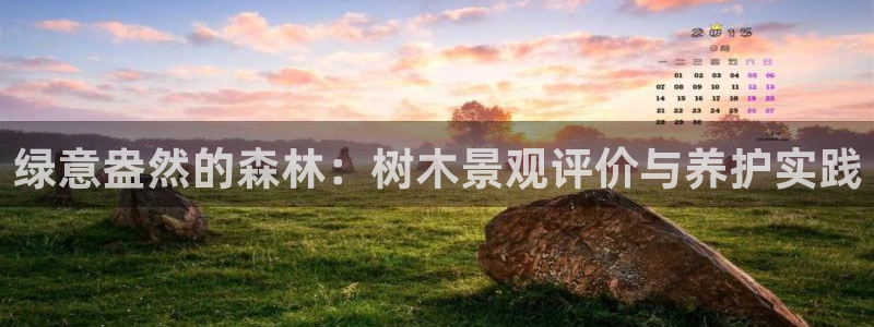 天顺娱乐缆943994