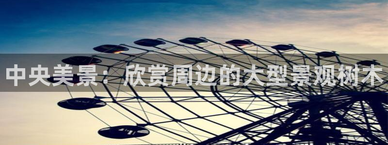 天顺娱乐邓78778卧