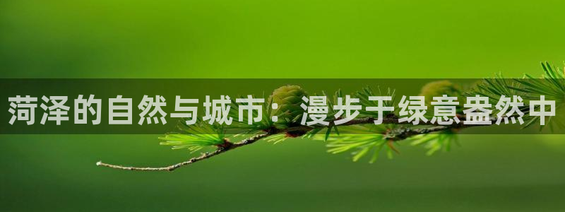 天顺娱乐计划软件
