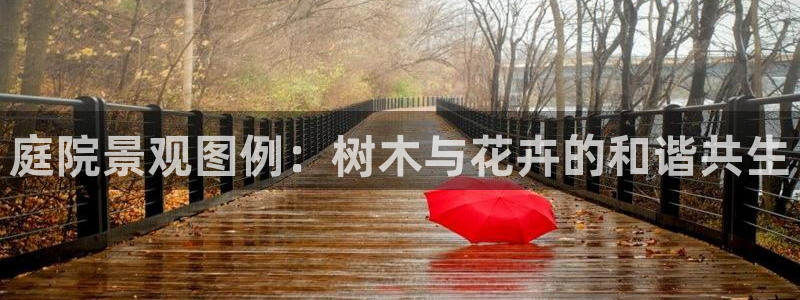 天顺娱乐辛 66 6