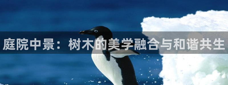 天顺娱乐负责人心须pg22650：庭院中景：树木的美学融合与和谐共生